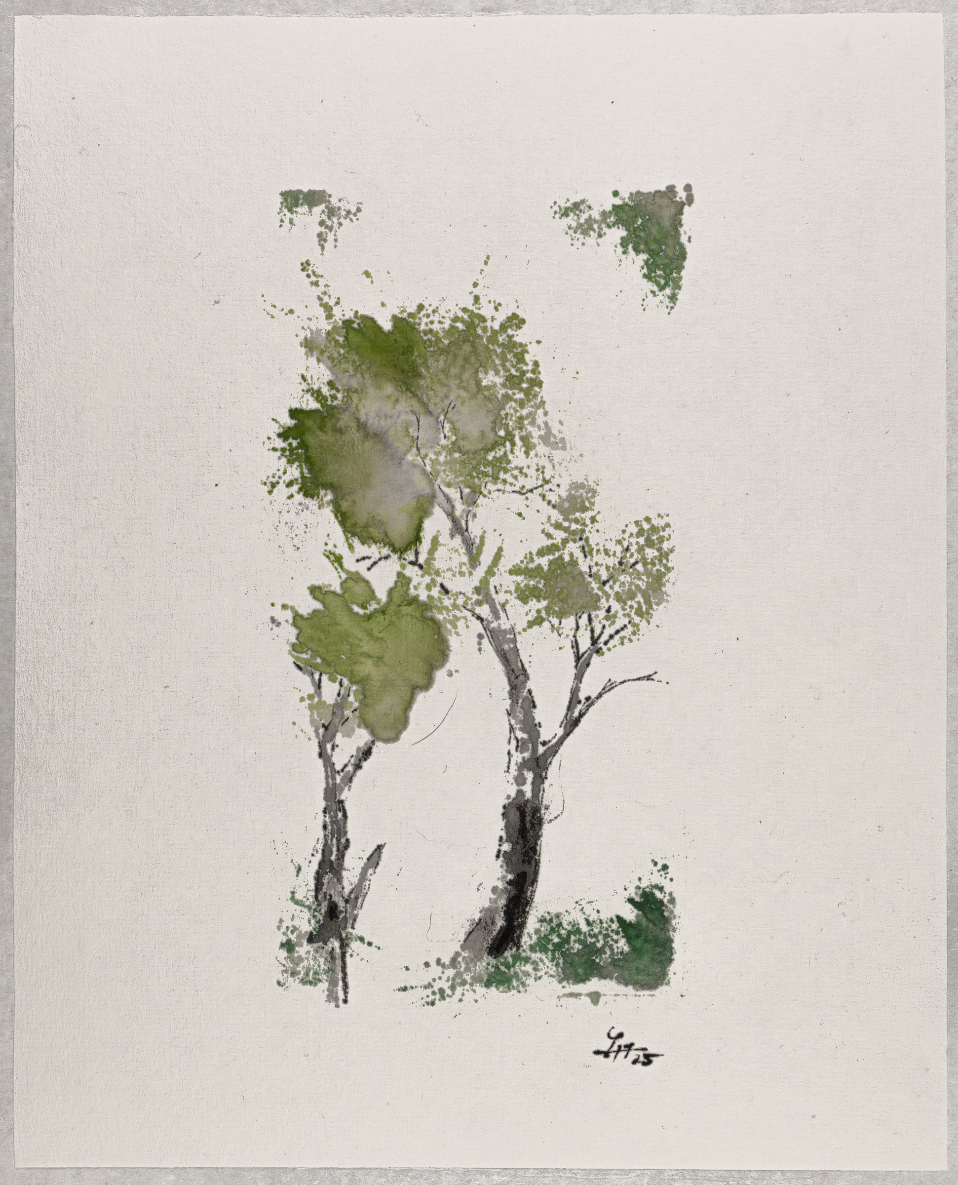 Lavis à l'encre de chine noire et verte représentant un jeune arbre. Peinture de la série Carnet de voyage, Costa-Rica 2025