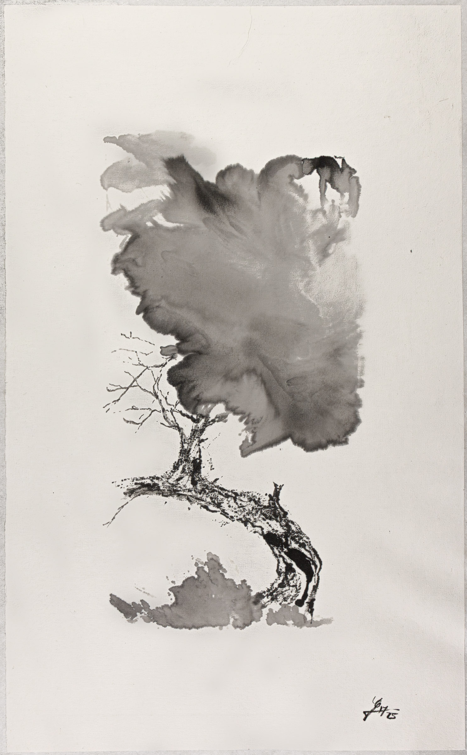 Lavis à l’encre de chine noire représentant un arbre drageonnant courbé sur fond blanc.